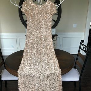 Adrianna Papell gown